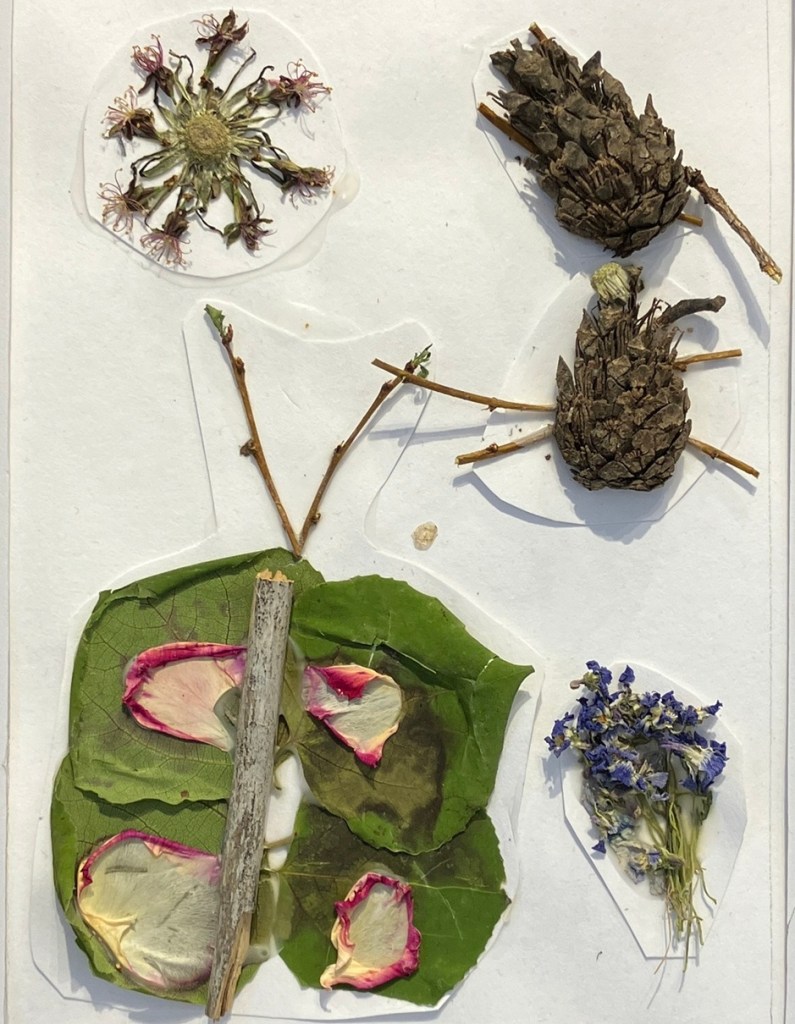 work by young artist, natural elements